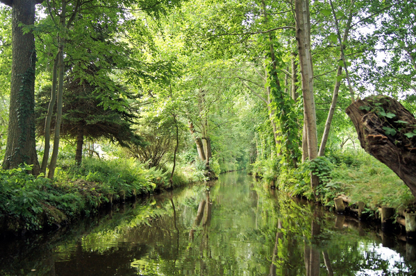 Ein Bild von einem Kanal in der Spreewald