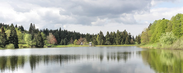 Oberharzer Wasserregal